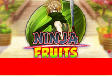 Ninja Fruit game thumbnail