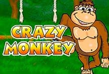 Crazy Monkey game thumbnail