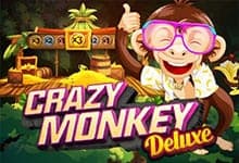 Crazy Monkey Deluxe game thumbnail