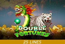 Double Fortunes game thumbnail