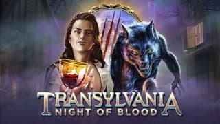 Transylvania: Night Of Blood game thumbnail