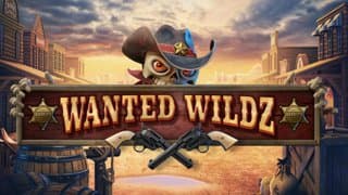 Wanted Wildz game thumbnail