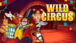 Wild Circus game thumbnail