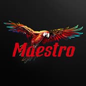 Maestro game thumbnail