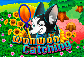 Won Won Catching game thumbnail
