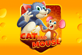 Cat And Mouse game thumbnail