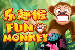 Fun Monkey game thumbnail
